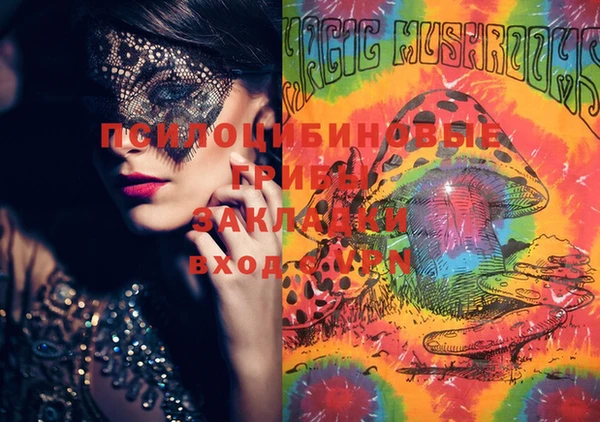 спиды Пролетарск